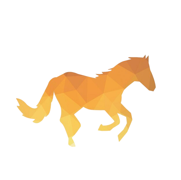 Search Icon